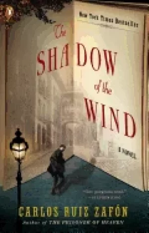 Image of shadow of the wind