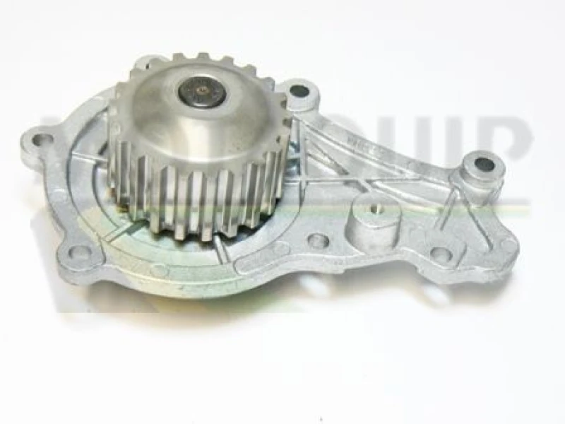 Image of MOTAQUIP Water pump MOTAQUIP VWP781
