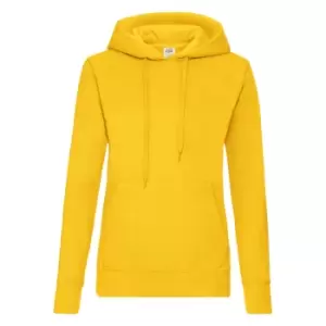 image of Fruit Of The Loom Ladies Lady Fit Hooded Sweatshirt / Hoodie (L) (Sunflower)