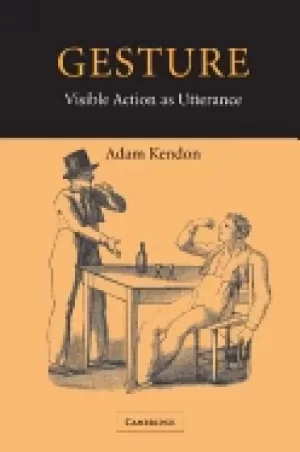 Image of gesture visible action as utterance