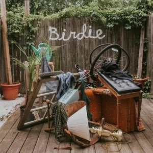 Image of Birdie by Slaughter Beach, Dog CD Album