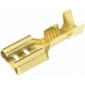 Image of Blade receptacle Connector width 2.8mm Connector thickness 0.5 mm