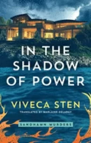 Image of in the shadow of power