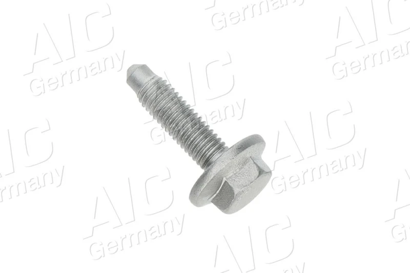 Image of Screw AIC 74192