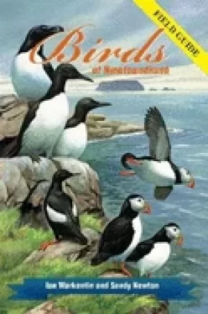 Image of birds of newfoundland field guide
