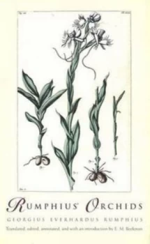 Image of Rumphius Orchids by Georgius Everhardus Rumphius Hardback