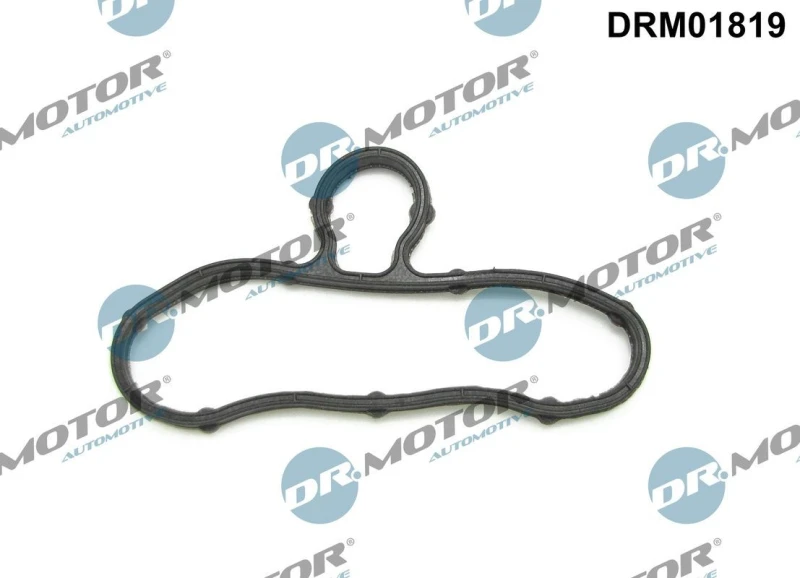 Image of DR.MOTOR AUTOMOTIVE Timing cover gasket DR.MOTOR AUTOMOTIVE DRM01819