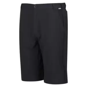Image of Regatta Highton Long Shorts - Grey