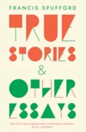 Image of true stories and other essays