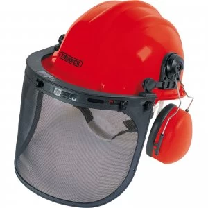 Image of Draper Forestry Helmet Mesh Visor and Ear Defenders