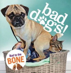 Image of Bad D paw Print gs Hardback