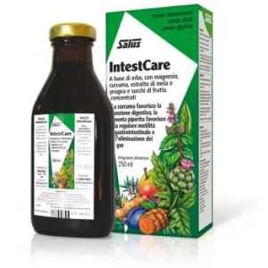 Image of Salus Haus IntestCare Liquid 250ml