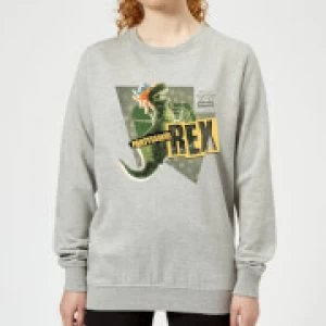 Image of Toy Story Partysaurus Rex Womens Sweatshirt - Grey - 3XL