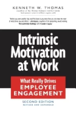 Image of intrinsic motivation at work building energy and commitment