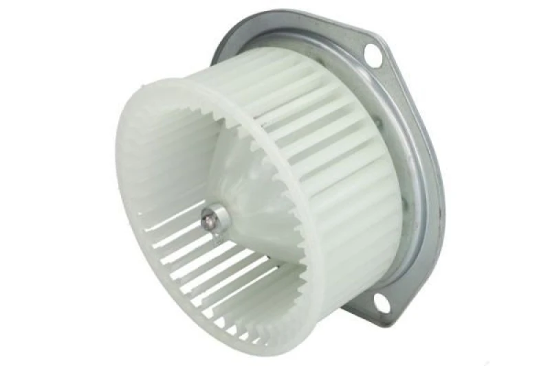 Image of THERMOTEC Blower motor THERMOTEC DD2010TT