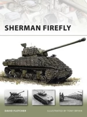 Image of Sherman firefly by David Fletcher