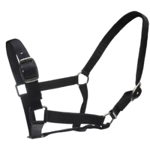 Image of Roma Headcollar and Lead Rope Set - Blue