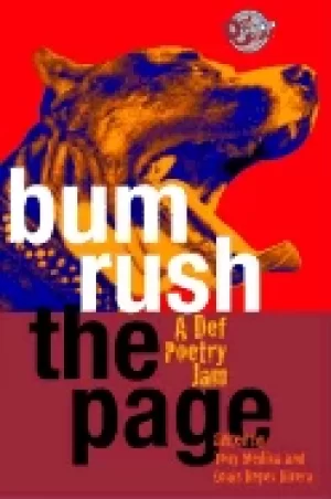 Image of bum rush the page a def poetry jam