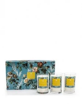 Oasis Home Leighton Freesia And Musk 3 Candle Gift Set