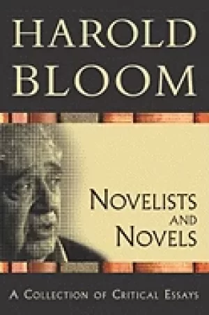 Image of novelists and novels a collection of critical essays