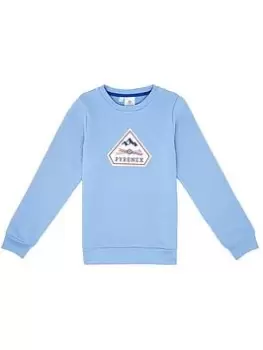 Image of Boys, Pyrenex Large Logo Crew Neck Sweatshirt - Pale Blue Size 10 Years