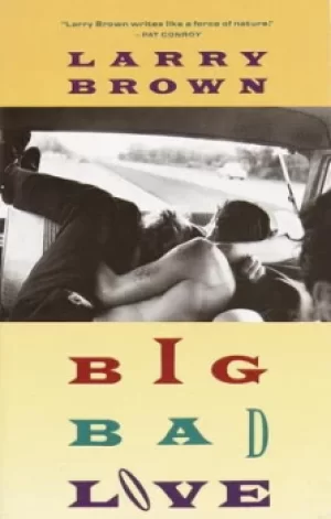 Image of Big bad love by Larry Brown