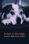 Image of roland in moonlight