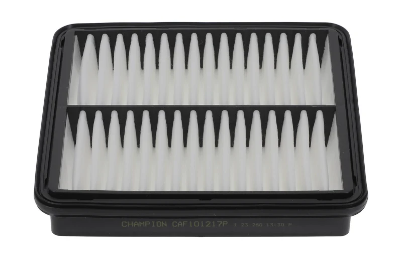 Image of Air filter CHAMPION CAF101217P