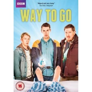 Image of Way To Go (2013) DVD