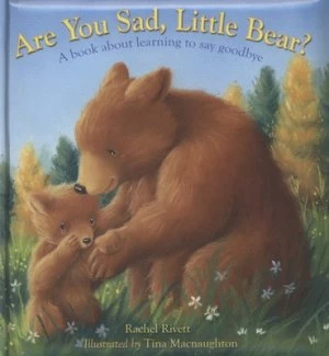 Image of Are You Sad Little Bear by Rachel Rivett Hardback