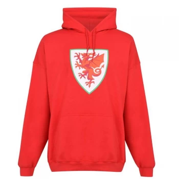 image of Source Lab Wales Logo OTH Hoodie Mens - Red