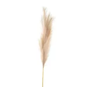 image of Bleached Large Faux Pampas Grass Stem