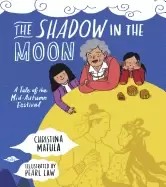 Image of shadow in the moon