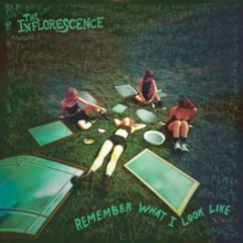 Image of Remember what I look like Vinyl