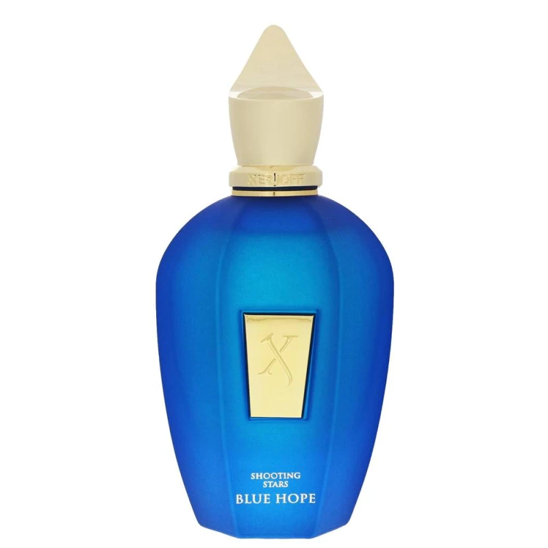 Image of Xerjoff Blue Hope perfume unisex 100ml
