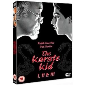 image of Karate Kid/The Karate Kid Part 2/The Karate Kid Part 3 DVD