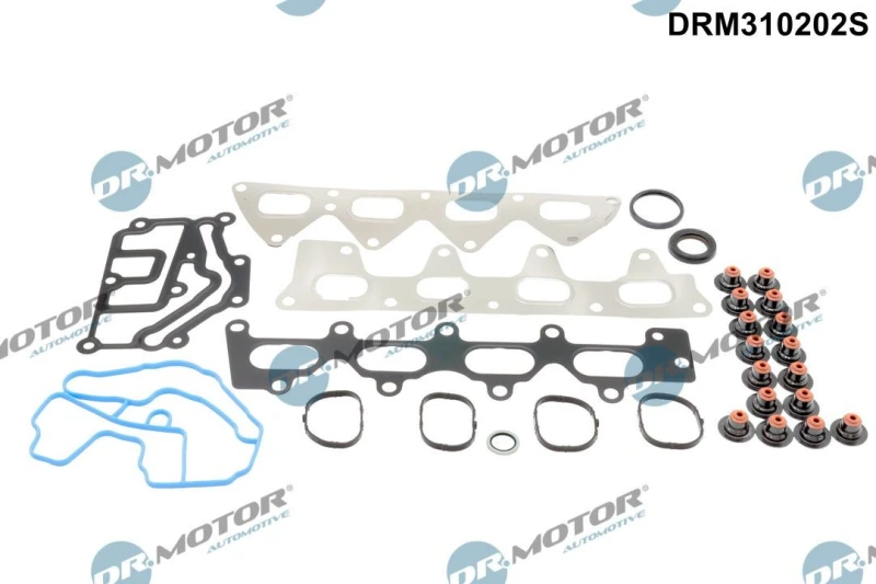 Image of DR.MOTOR AUTOMOTIVE Gasket Set, cylinder head DR.MOTOR AUTOMOTIVE DRM310202S