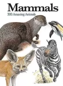 Image of Mammals : 300 Amazing Animals