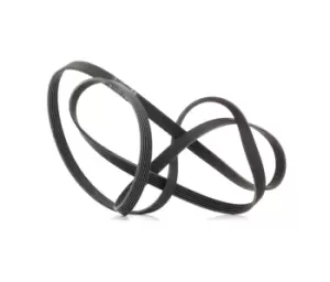 Image of Bosch V-ribbed belt VW,AUDI,HYUNDAI 1 987 947 564 059903137AE,252122F000,252122G120 53010027,53010279,252122F000,252122F010,LR012625,059903137AE