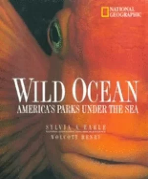 Image of wild ocean americas parks under the sea