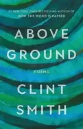 Image of above ground