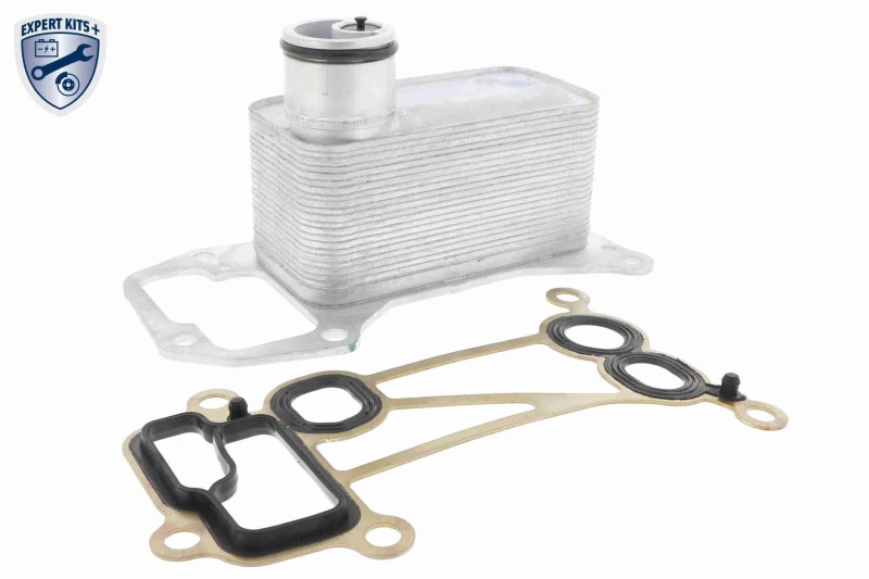 Image of Engine oil cooler VEMO V20-60-0056