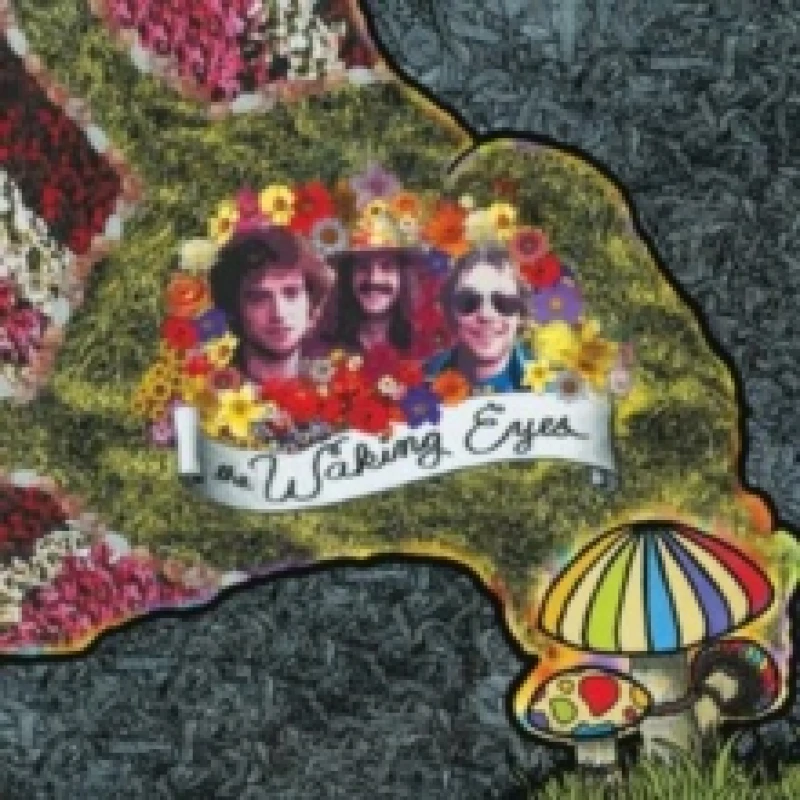 Image of Combing the cloud Vinyl