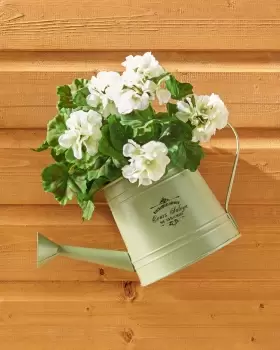 Image of Cotton Traders Vintage Half Wall Watering Can Planter in Green