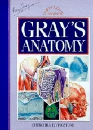 Image of grays anatomy the anatomical basis of medicine and surgery