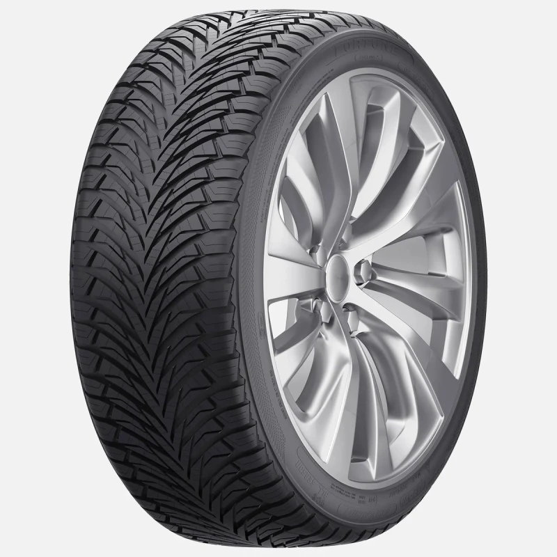 Image of Fortune Fortune FITCLIME FSR-401 225/60 R17 99V Tyres