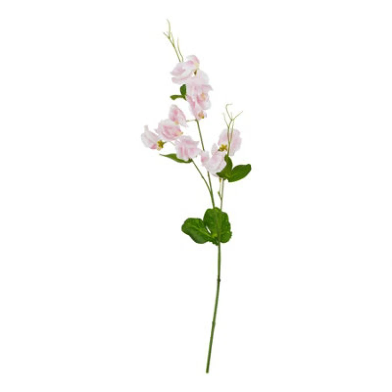 Image of The Natural Garden Collection Pale Pink Sweetpea Stem