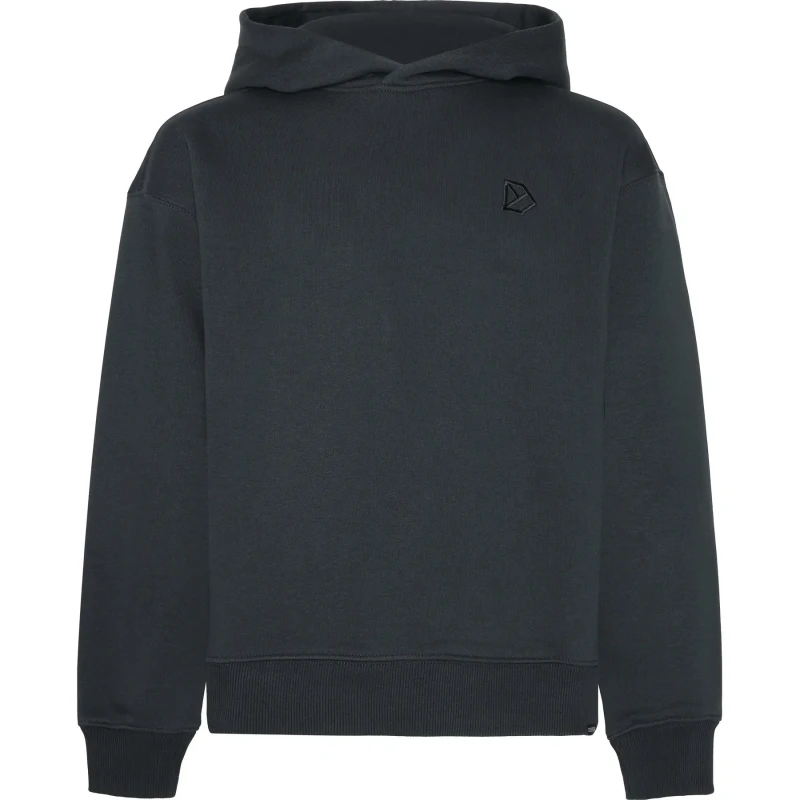 Image of Child hoodie Didriksons Ven Bleu Male 15/16 ans