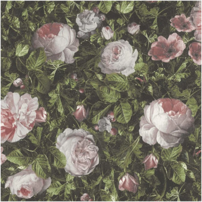 Image of Holden Decor Blush Rose Floral Wallpaper Dark Green Botanical Vintage Flower Pattern