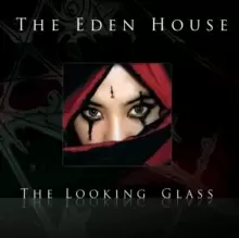 image of The Looking Glass